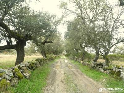 Arribes de Duero zamoranos - Acantilados asombrosos; programa de viajes viaje en agosto excursiones 